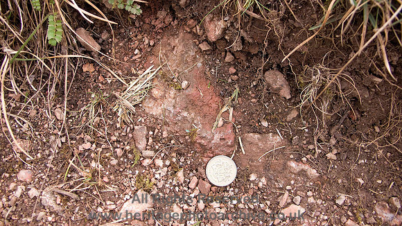 HRS 1814 Whitbarrow mine iron staining