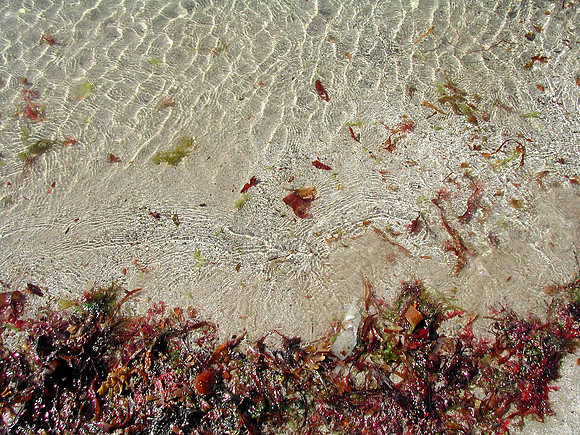 HRS 370 Shore Church Bay 2003