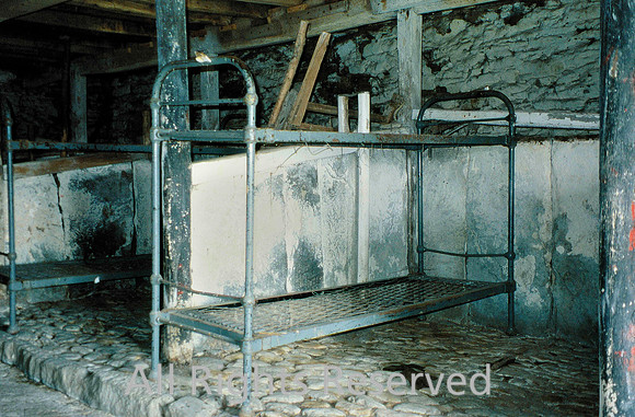 Stephenson Ground Farm, Cow byres June 2003