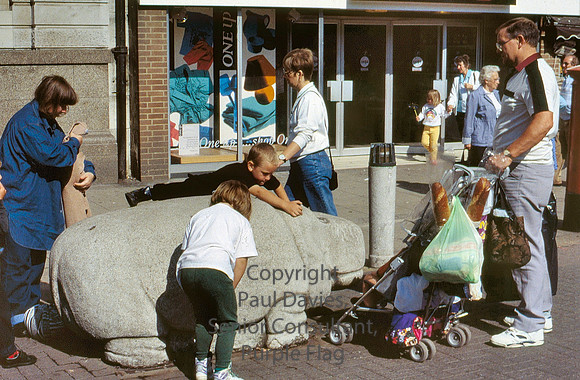 Walsall, Hippo