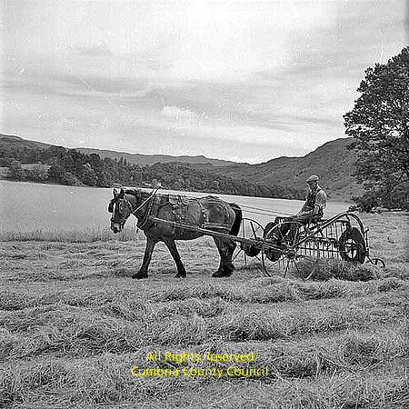 Grasmere haymaking
