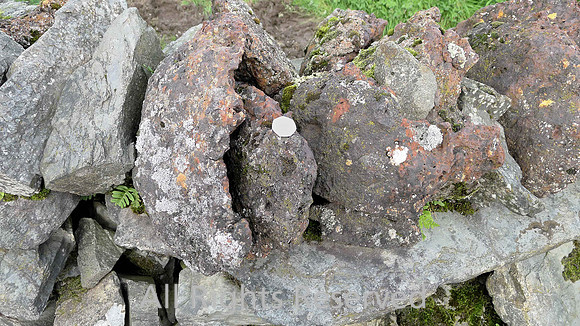 Cumbria, Bouth, Old Hall Farm SD32573 85594