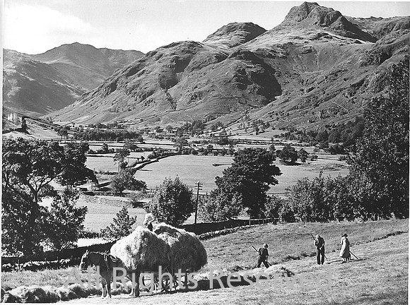 Hay-making in the Langdale Valley