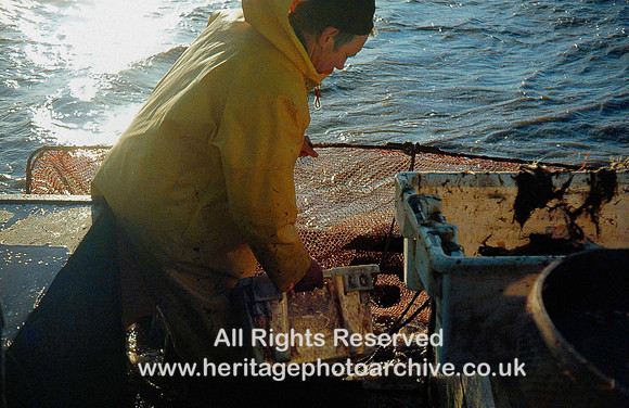HRS 3382 Southport, Shrimping, Boxing-up the catch 1981