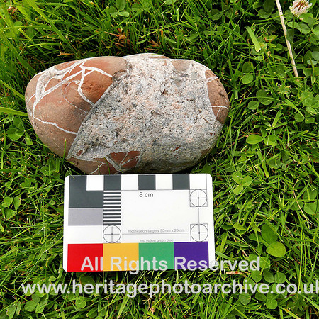 HRS 7960 Moat Scar, Septarian nodule