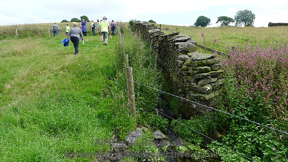 HRS 7982 Barber Green, dry stone wall and stream course