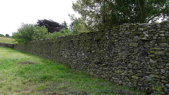 HRS 7985 Barber Green, orchard wall