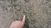 HRS 9894 Crosby Ravensworth, Shap granite erratics close up L1110534