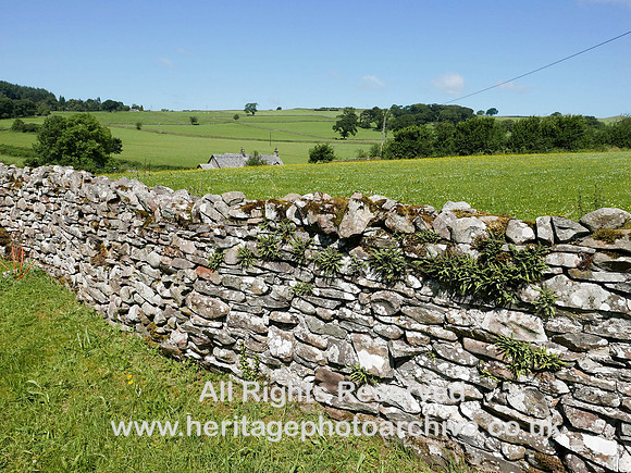 HRS 8041 St Peters churchyard wall Mansergh
