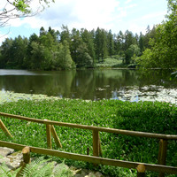 HRS 1363 Crook, Knipe Tarn 2011