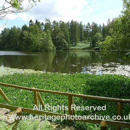 HRS 1363 Crook, Knipe Tarn 2011