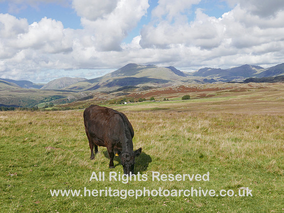HRS 11580 Scafell Pike from Ulpha Fell