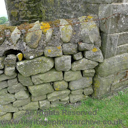 HRS 8111 Jubilee Tower and dry stone wall