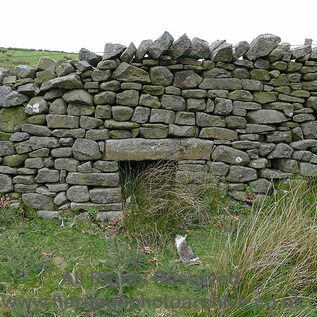 HRS 8114 Trough of Bowland road hog hole
