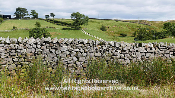 HRS 8159 Wray, Scale Farm common land boundary wall SD 622651