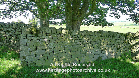 HRS 8165 Wray, White Moss, field wall to barn L1160399