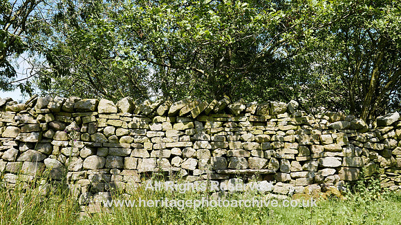 HRS 8174 Wray, Thrushgill Farm orchard wall