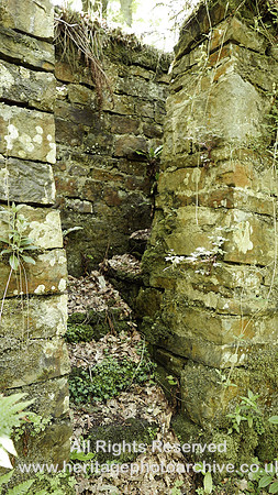 HRS 8176 Wray, Botton, steps fossil wall
