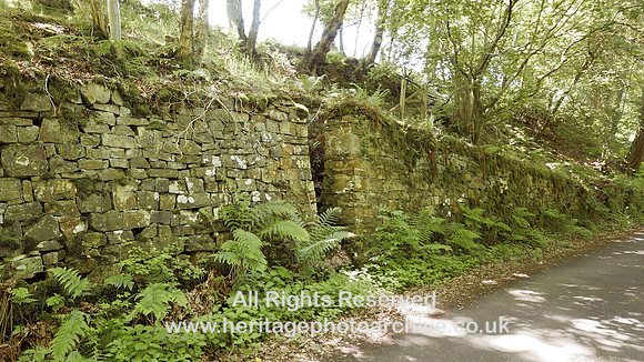 HRS 8177 Wray, Botton, fossil wall L7690358