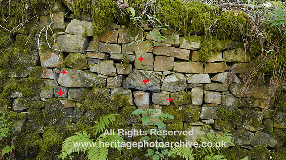 HRS 8180 Wray Botton, fossil wall annotated