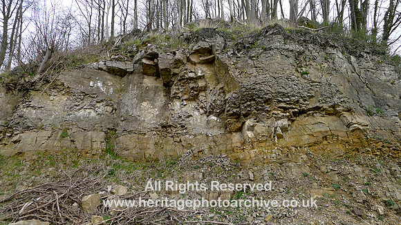 HRS 11597 Allithwaite, Castle Haw, rock section in Gleaston formation L1130110