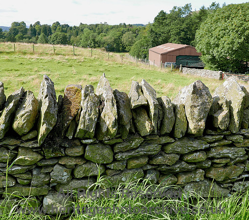 HRS 8277 Ayside, dry stone wall