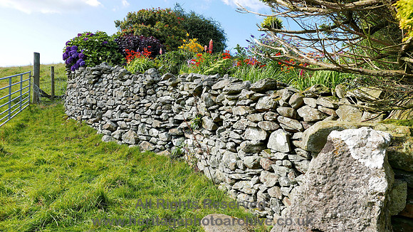 HRS 8278 Ayside, floral dry stone wall