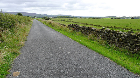 HRS 8319 Ortner, road and vaccary walls and fields L1160720