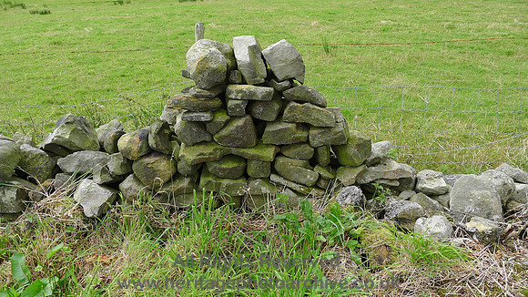 HRS 8321 Ortner, remains of vaccary wall L1160719