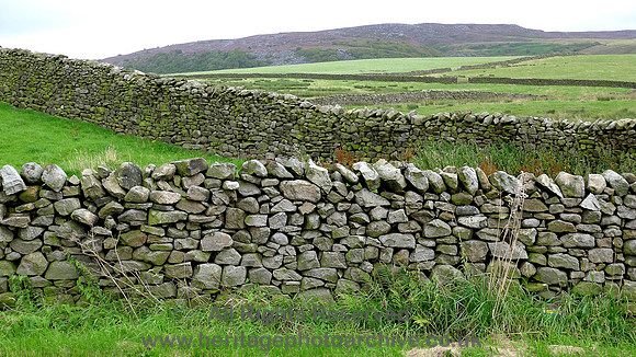 HRS 8324 Quernmore, dry stone wall opposite church L1160718