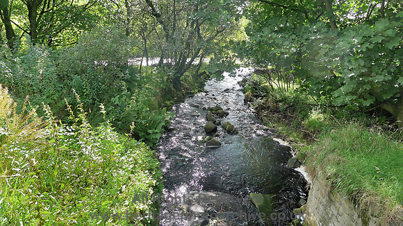 HRS 8326 Tarnbrook Beck tributary L1160723