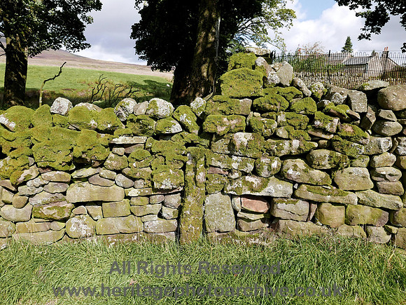 HRS 8334 Tarnbrook, Dry Stone Wall and stoop L7700101