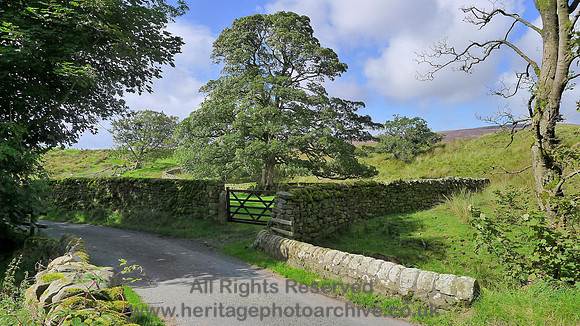 HRS 8336 Tarnbrook, dry stone walls on edge of hamlet L1160724