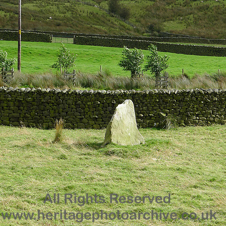 HRS 8341 Tarnbrook, Gilberton, animal rubbing stone L1160740