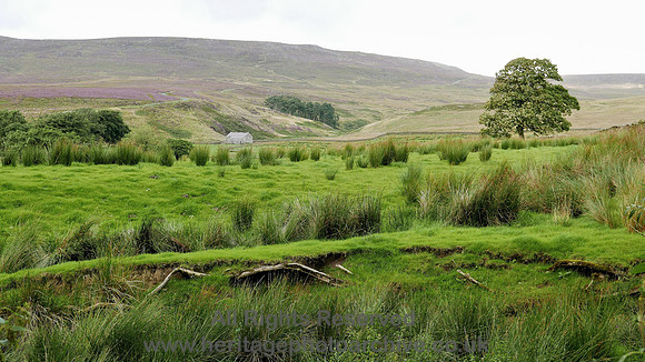 HRS 8342 Tarnbrook, Gilberton, Pea Carr Barn L7700112