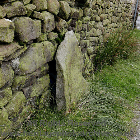 HRS 8343 Tarnbrook, hog hole sheep pen L7700131