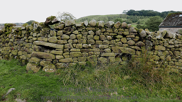 HRS 8344 Tarnbrook, hog holes in large sheep pen L7700130