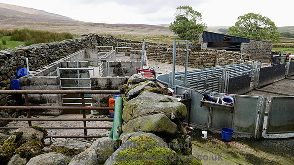 HRS 8346 Tarnbrook, sheep pen modern interior fittings L7700134