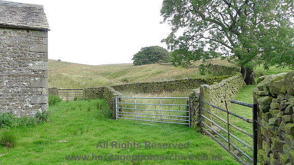 HRS 8354 Tarnbrook, Spreet Clough, sheep pens L1160747