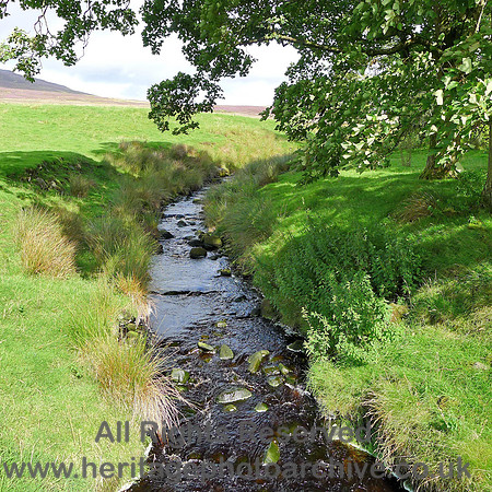 HRS 8355 Tarnbrook, Syke Clough stream L1160734