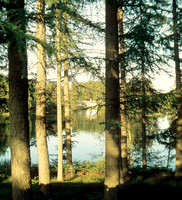 HRS 1751 Crook, Knipe Tarn 1980