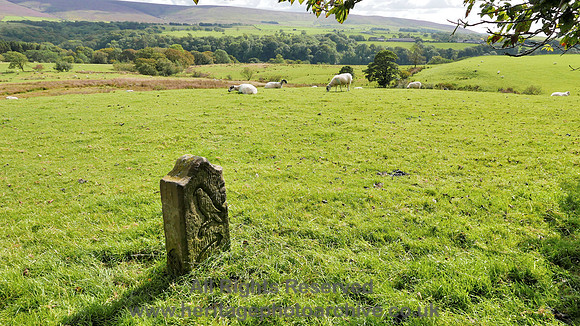 HRS 8407 Abbeystead, Christ Church Wyre Way route marker L7700210