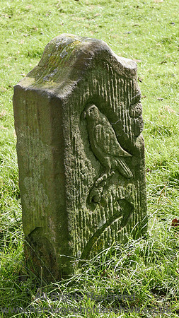HRS 8421 Abbeystead, Wyre Way route marker carving L7700211
