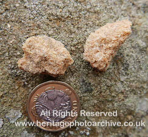 HRS 8446 Abbeystead, millstone grit samples DSW L7700244