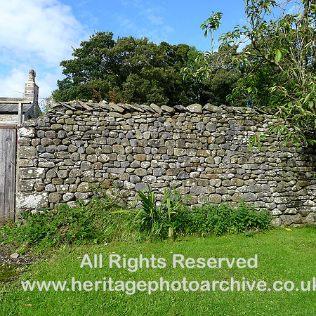 HRS 8482 Clapham, orchard wall behind ivy clad building