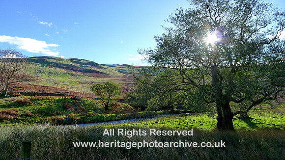 HRS 9838 Barbondale, autumn sunshine L1180715