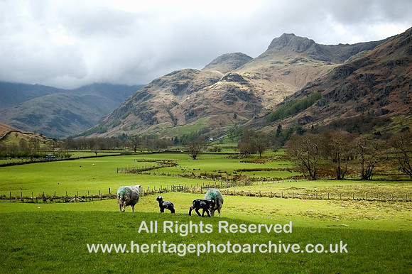 HRS 1734 Langdale Pikes