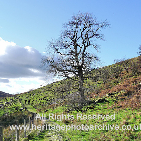 HRS 9844 Barbondale, walkers L1180720