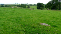 HRS 9898 Crosby Ravensworth, Shap granite erratics L1110538