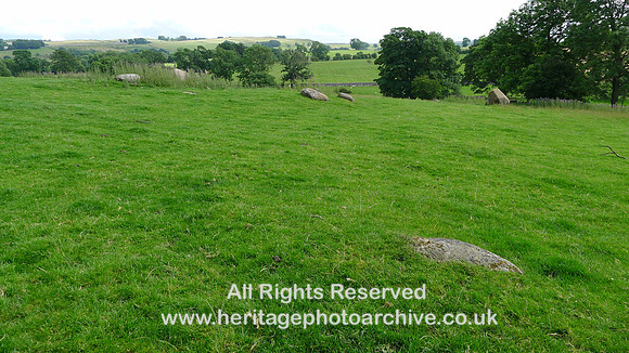 HRS 9898 Crosby Ravensworth, Shap granite erratics L1110538